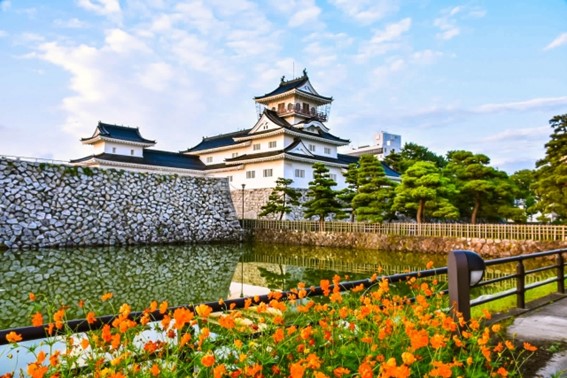 富山の土地価格