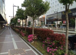 富山県にも都会の地域はあります！